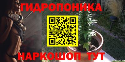 PSILOCYBIN Лесосибирск