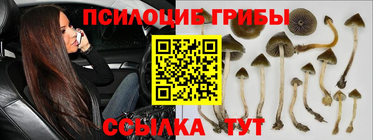 Псилоцибиновые грибы мухоморы Гулькевичи