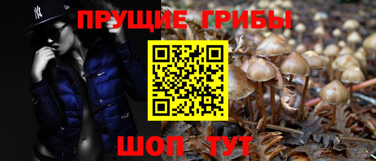Галлюциногенные грибы мухоморы  Вход с VPN  Гулькевичи 