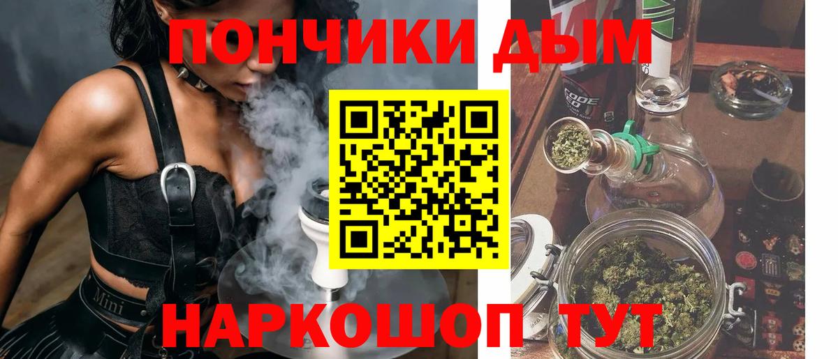 Каннабис сатива Гулькевичи